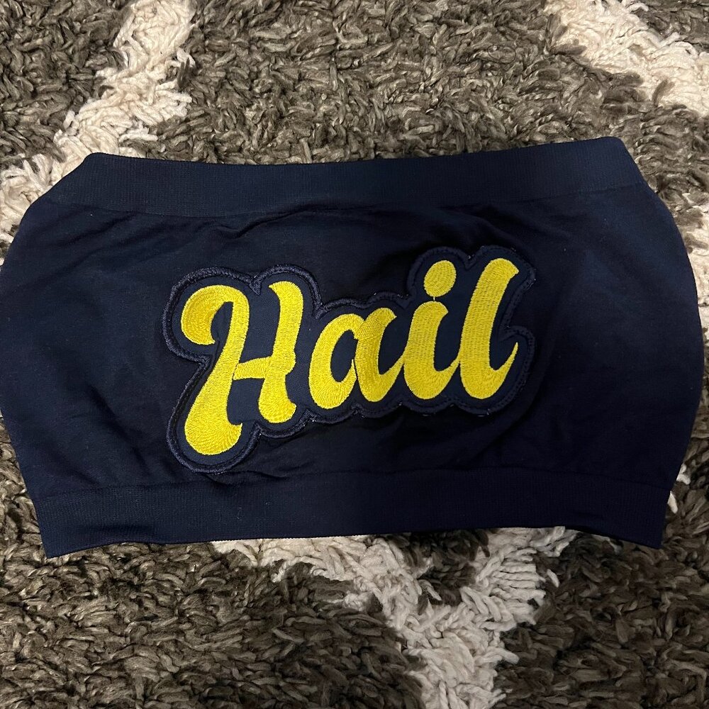 Michigan 'hail' Bandeau Top